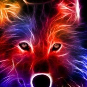 Meet your Posher, Devon